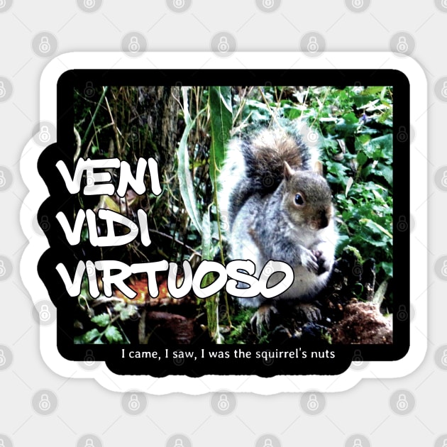 Veni Vidi Virtuoso - I came, I saw, I was the squirrel’s nuts Sticker by soitwouldseem